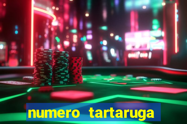 numero tartaruga jogo do bicho